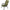 Scaun CARP ACADEMY Luxxus Camo, 50x45x60cm