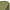 Scaun Carp Academy Luxxus Camo, 50x45x60cm