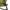 Scaun Carp Academy Luxxus Camo, 50x45x60cm
