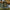 Scaun Carp Academy Quattro Camo, 48x40x60cm