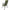 Scaun Carp Pro Easy Folding Light