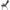 Scaun Carp Pro Easy Folding Medium, 55x44x73cm