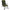 Scaun Carp Spirit Magnum Deluxe Chair Evo