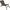 Scaun Fox Camolite Combo Chair, 52x53cm