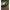 Scaun Fox Camolite Combo Chair, 52x53cm