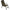 Scaun Fox Voyager Recliner Large Chair