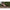Scaun Korda Compac Low, Olive,60x72x72cm