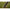 Scaun Korda Compac Low, Olive,60x72x72cm