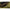 Scaun Korda Compac Low, Olive,60x72x72cm