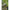 Scaun Korum Supa Lite Stretch Chair, Standard, 48x39x28cm