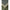 Scaun Korum Supa Lite Stretch Deluxe Chair, 48x43x32cm