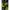 Scaun Modular Matrix S25 Pro Seatbox Lime Edition