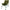 Scaun Starbaits Chair Dlx
