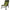 Scaun Starbaits Compact Chair
