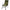 Scaun Starbaits Mammoth Chair
