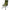 Scaun Starbaits Recliner Chair