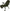 Scaun Trakker Levelite Longback Recliner, 86x68x35cm