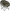 Scaun Trakker Levelite Luna Chair, Camo, 62x46x50cm