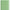 Scobitoare Mare VICTORINOX pentru Briceag, 5cm, Verde
