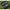 Set 2 Buzz Bar Prowess Bankstick, Husa Transport