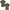 Set 2 Tricouri Mauser 581, Dull Olive, Marime L