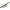 Set Agrafa Rapida Formax Cu Con Antitangle, Nr.6, 5buc/pac