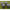 Set Borcane Avid Hookbait Pots Large, 4buc/pac