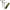 Set Carp Academy Buzzbar Cu Pichet ECO, 2 Posturi, 35-50cm