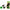Set Momitoare Zfish Method Feeder Spider Set + Mould, Medium, 50-60g, 2buc/set
