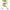 Set Shad Berkley Sick Zander Pack, 5buc/pac