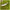 Set Shad-uriDelalande Shad Pearl Black Back, 7.5cm, 5buc