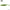 Shad 4Predators Finesse Impact Kiwi 10cm L026 5buc/plic