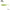 Shad 4Predators Finesse Impact Laminat Rainbow Green S007  7cm 7buc