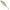 Shad Berkley Pulse Realistic Perch, At Bass, 7cm, 48buc/pac