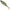 Shad Berkley Pulse Realistic Roach, Baitfish, 7cm, 48buc/pac
