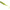 Shad BiWAA Divinator S Evo 4&quot;, 301 Apple Mint, 10cm, 4buc/pac