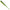 Shad DUO Bayruf BR Fish, F097 Young Water Melon, 8.4cm, 7buc/pac