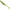 Shad Duo Realis Versa Shad Fat, F075 Chartreuse Shad, 12.5cm, 5buc/pac