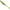 Shad DUO Realis Versa Shad Fat, F075 Chartreuse Shad, 12.5cm, 5buc/pac