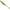 Shad Duo Realis Versa Shad Fat, F075 Chartreuse Shad, 17.8cm, 3buc/pac