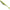 Shad DUO Realis Versa Shad Fat, F075 Chartreuse Shad, 17.8cm, 3buc/pac