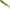 Shad Delalande Skeleton, Mojito, 8cm, 5buc/pac
