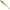 Shad Fast Strike Down Shad 9cm, Melon Pearl, 10buc/pac