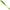 Shad Fast Strike Huky Kuky 13.5cm, 8.4g, Chatreuse Blue Back, 5buc/pac