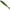 Shad Fast Strike Mama's Jocker 10cm, 7.4g, Sexi Shad, 10buc/pac