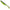 Shad Fast Strike Turbo Zander, 10cm, Green Brown Back, 10buc/pac