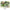 Shad Fast Strike Turbo Zander, 10cm, Melon Pearl, 10buc/pac