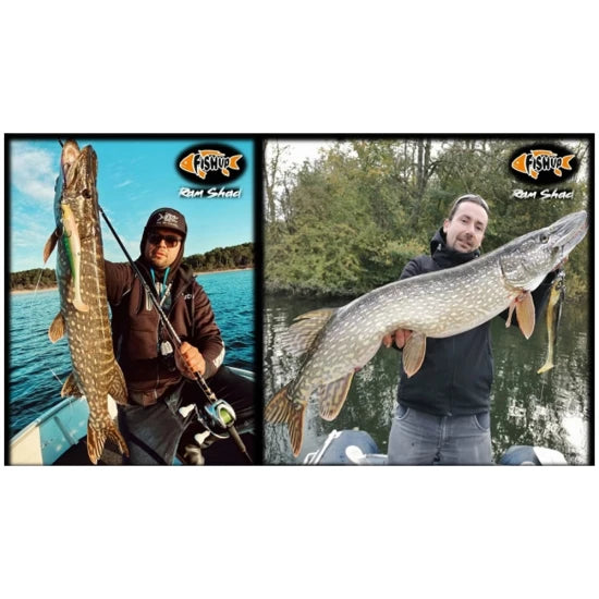 Shad Fishup Ram Shad, 20.3cm, 60g, Fire Tiger, 1buc/pac