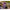 Shad Fishup Trout Series Scaly Cheese 7cm, Cheese, 10buc/pac