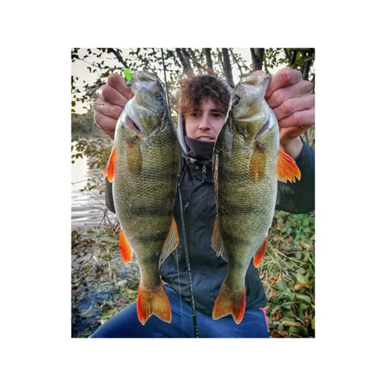 Shad Fishup U-shad, 206 Sky Chartreuse, 10.1cm, 8buc/pac